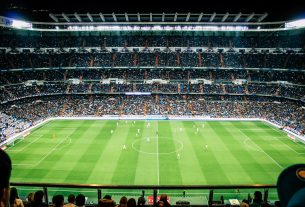 soccer field